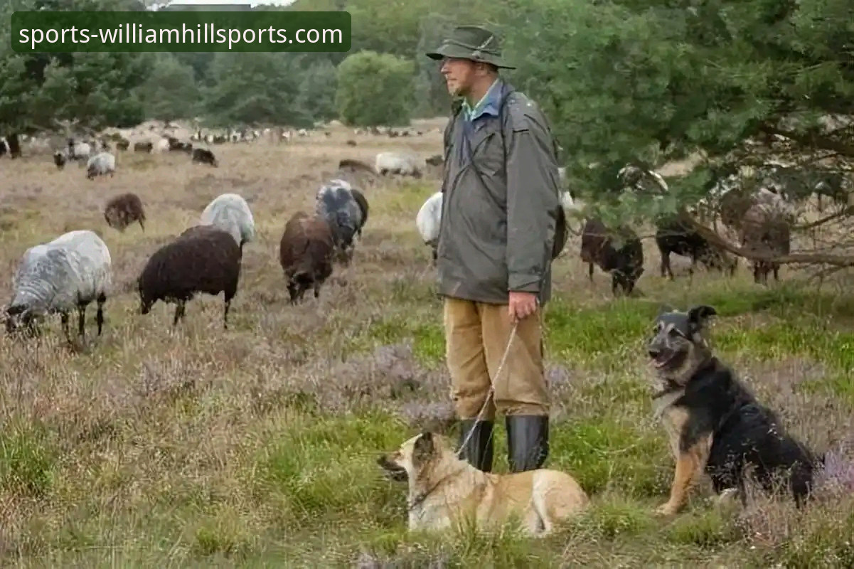 欧美杯取消背后的真相：一场被“时间”击败的巅峰对决